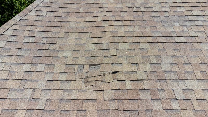 Asphalt Roof Inspection in Kenton, OH