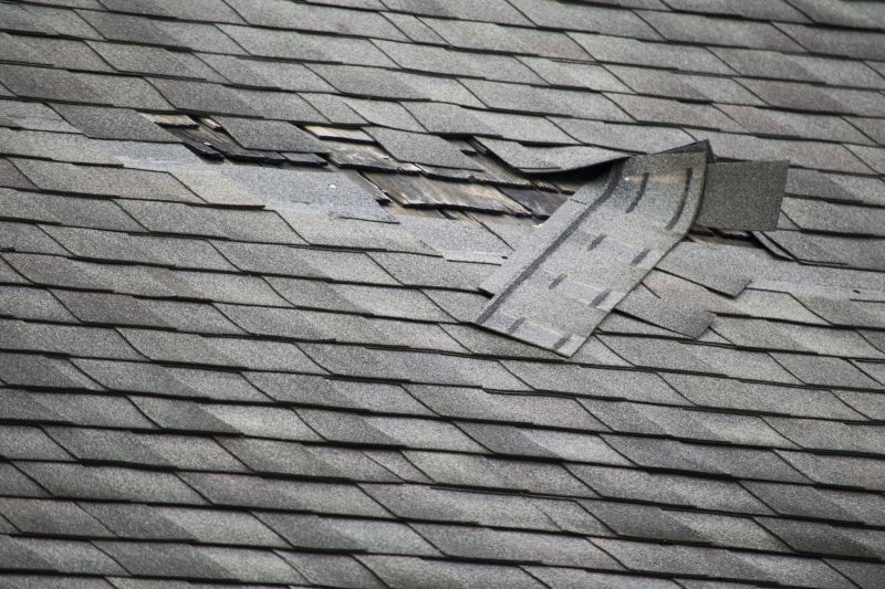 Asphalt Roof Repair in Bellefontaine, OH