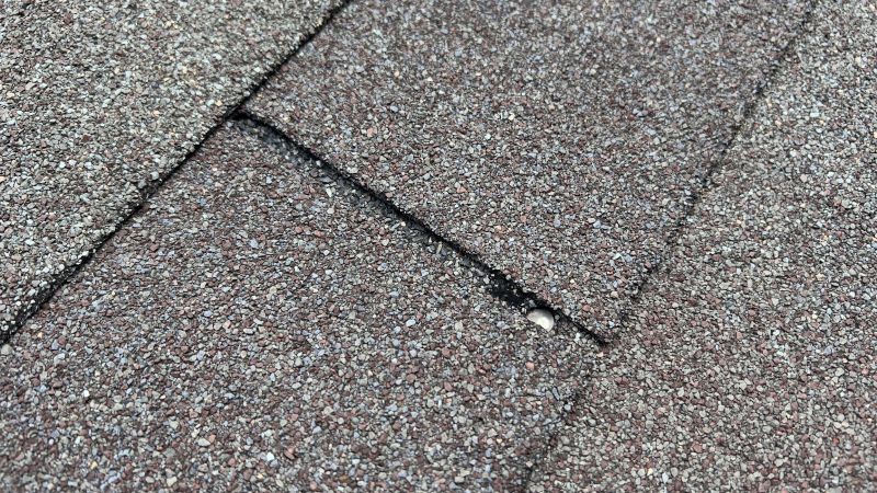 Asphalt Roof Repair in Logan County, OH