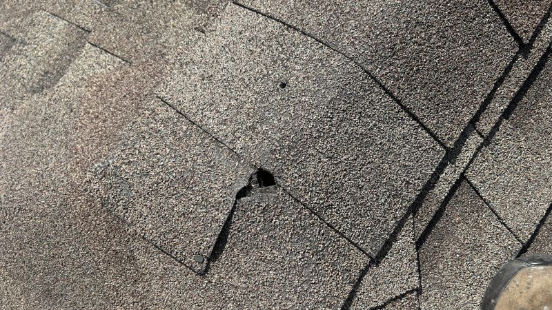 Damaged Roof Repair in Marysville, OH