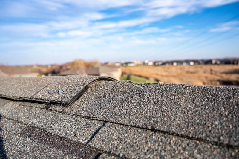 Damaged Roof Repair in Richwood, OH