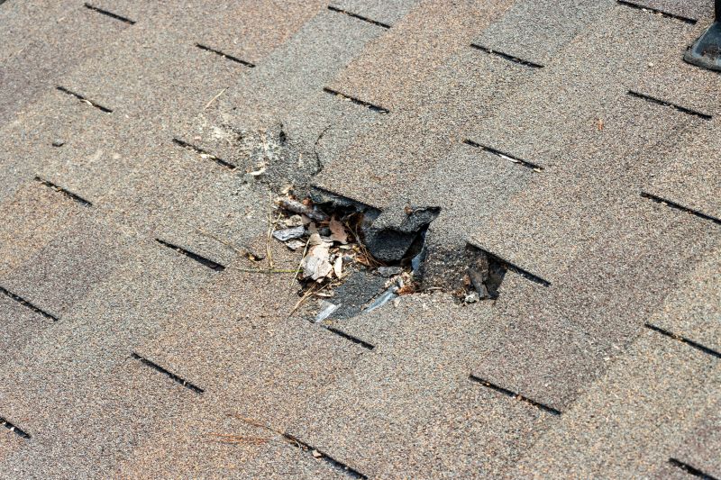 Shingle Roof Replacement in Mechanicsburg, OH