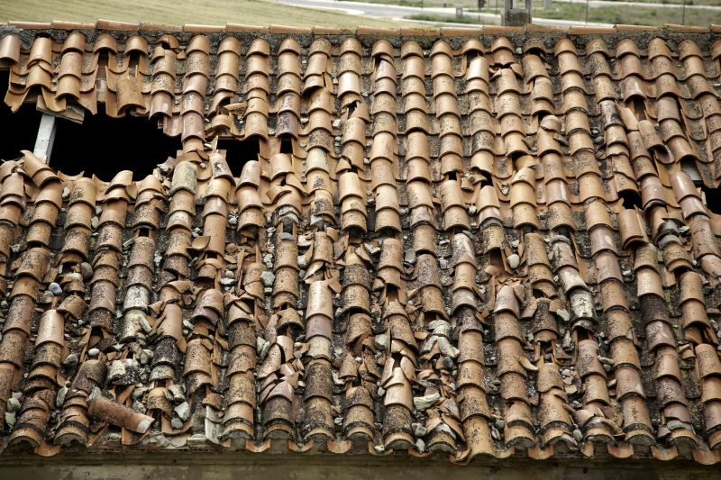 Tile Roof Inspection in Logan County, OH