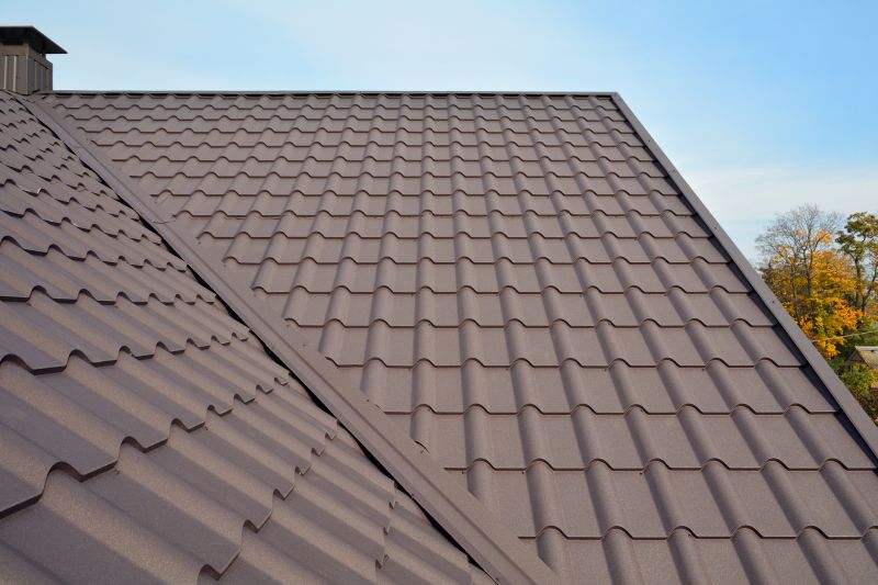Tin Roof Installation in Richwood, OH