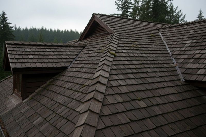 Wood Shake Roof Replacement in Mechanicsburg, OH
